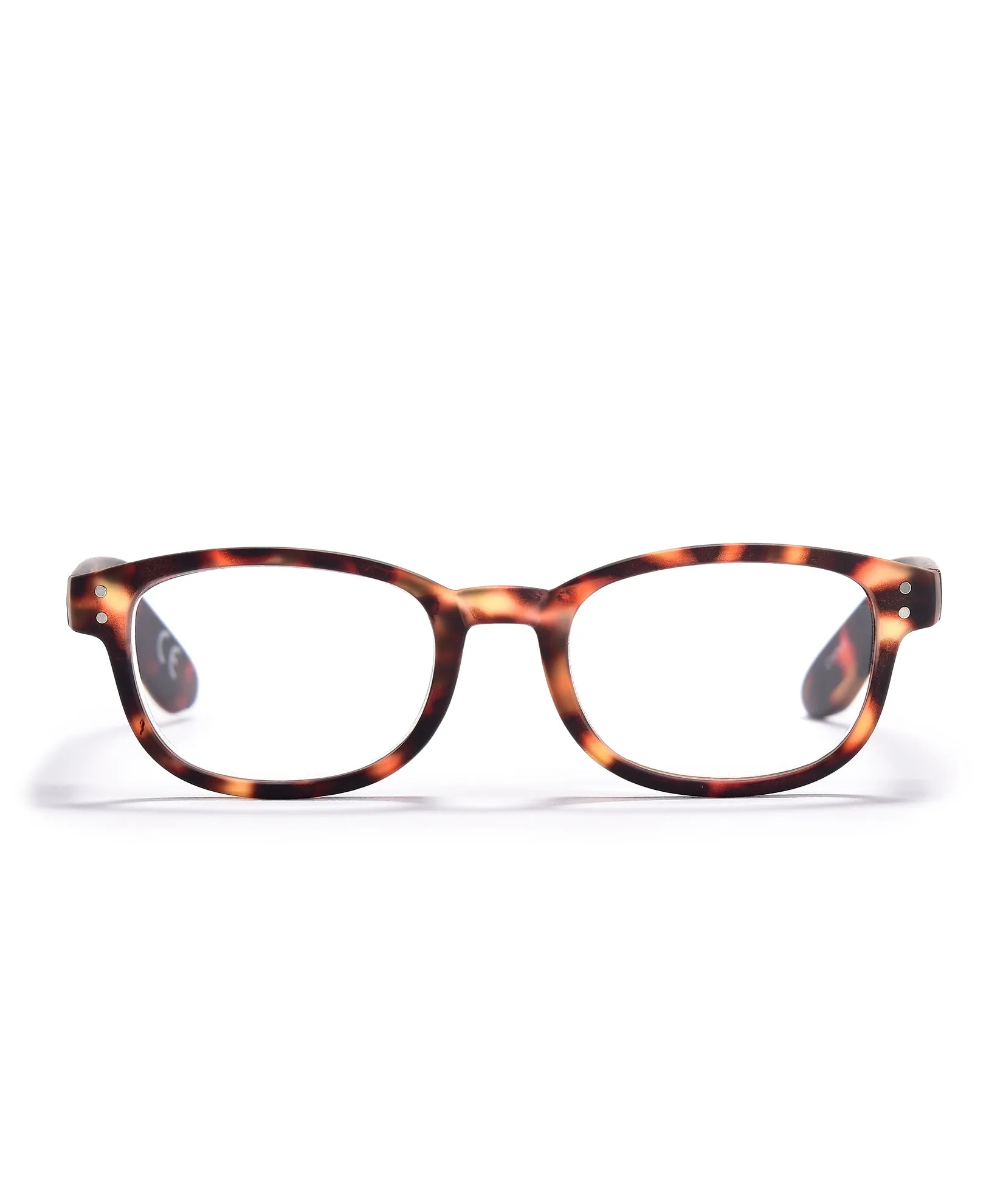 Brown Tortoise Readers